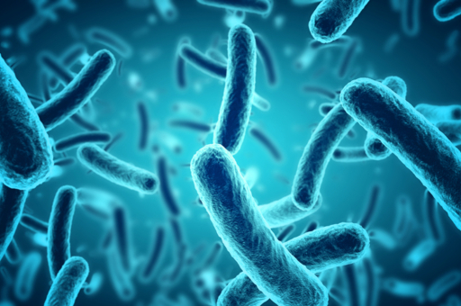 В кишечнике найдены бактерии, производящие электричество - Телеканал «Наука»