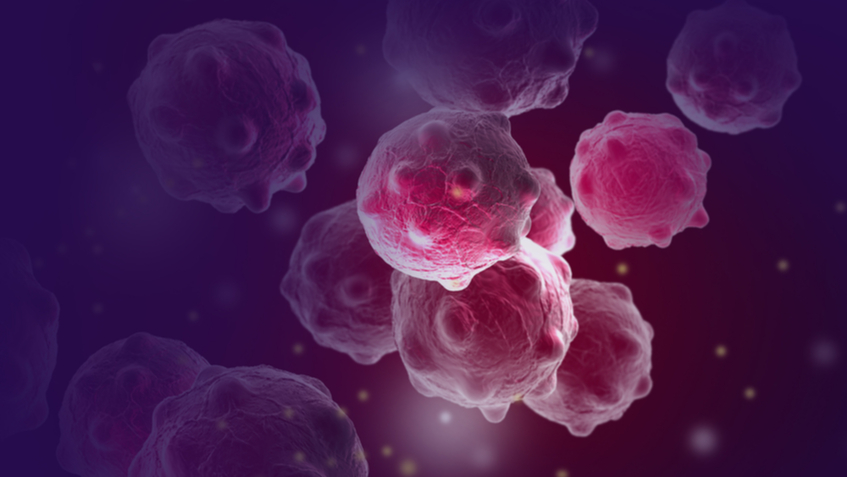 Работа с белками