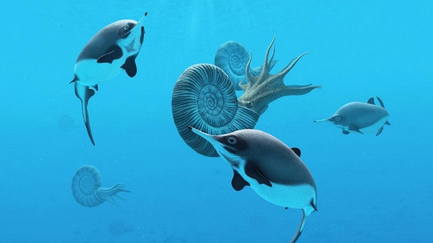 Смекалка российского ученого помогла сделать важное открытие в Британии ...