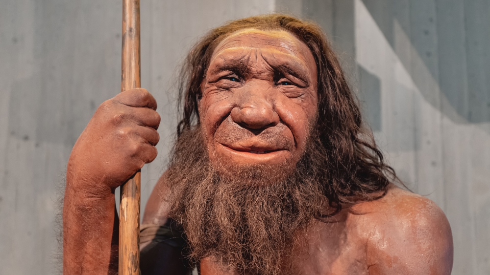 Исследование: неандертальцы и сапиенсы могли сосуществовать на одной  территории около 2000 лет - Телеканал "Наука"