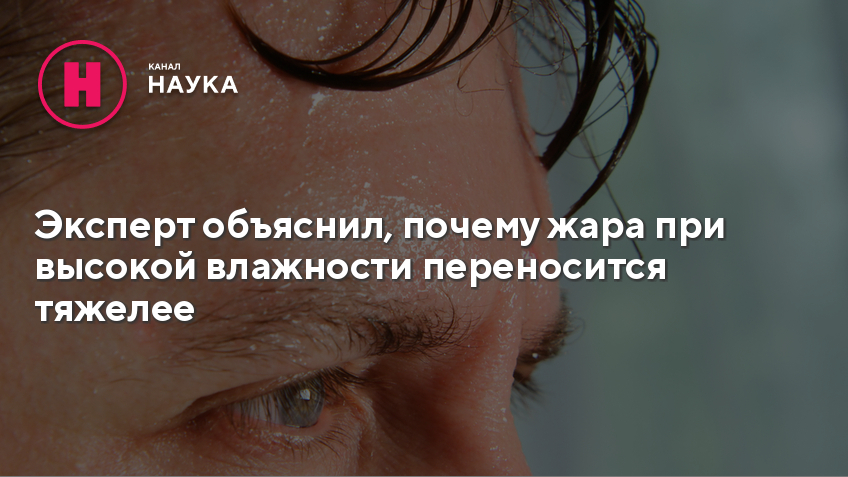 Зачем жар. . Почему жару труднее переносить при высокой влажности?. Почему жару гораздо труднее переносить при высокой влажности.