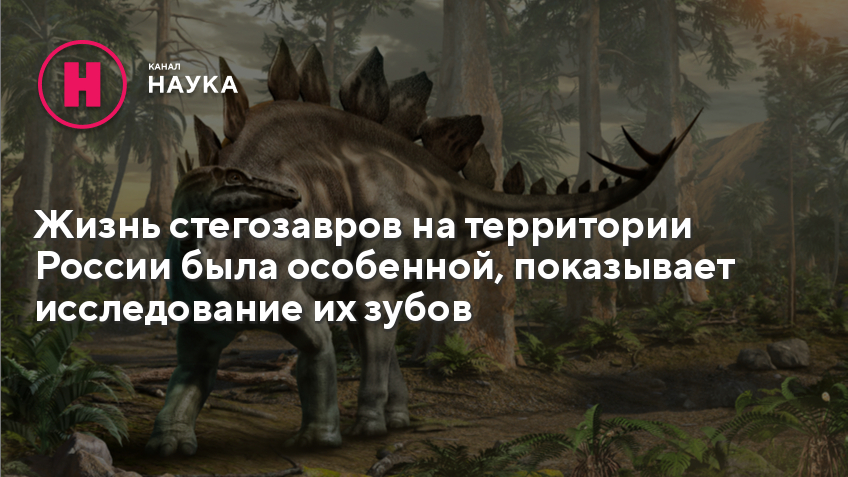 Песня жил динозавр был. Динозавры жившие на территории России. Список динозавров обитавших в России. Стегозавр и Ледяная колдунья краткое содержание. Жил динозавр был вечно в заботах.
