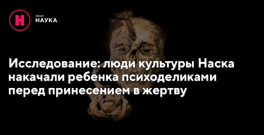 Bayer Schering ������� ����: ����.