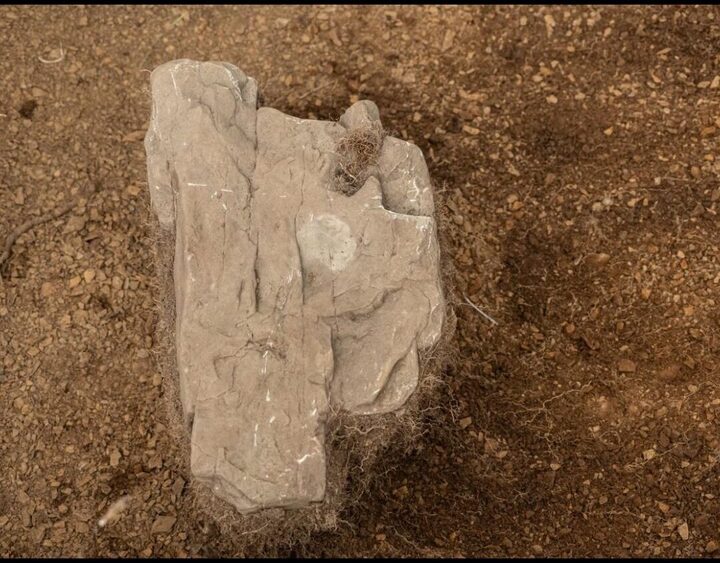 Монета Филиппа II