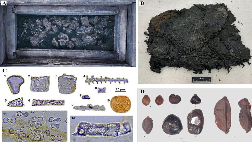 В Китае нашли 2200-летние свертки из зерна в царской гробнице