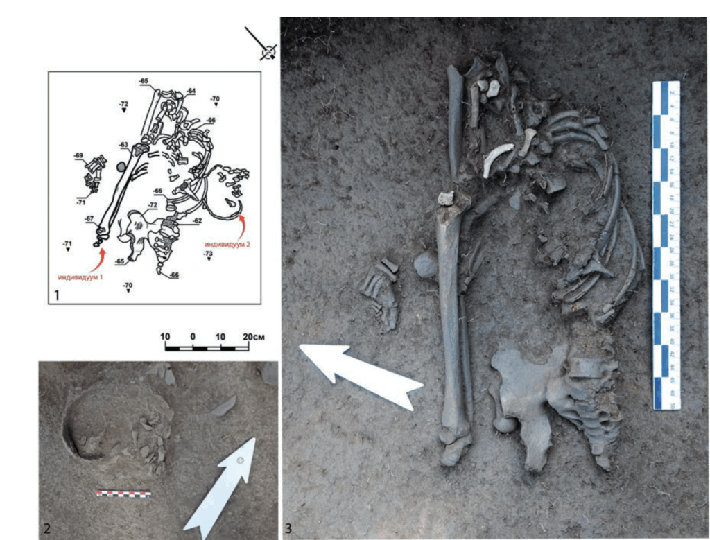 двойное древнее захоронение