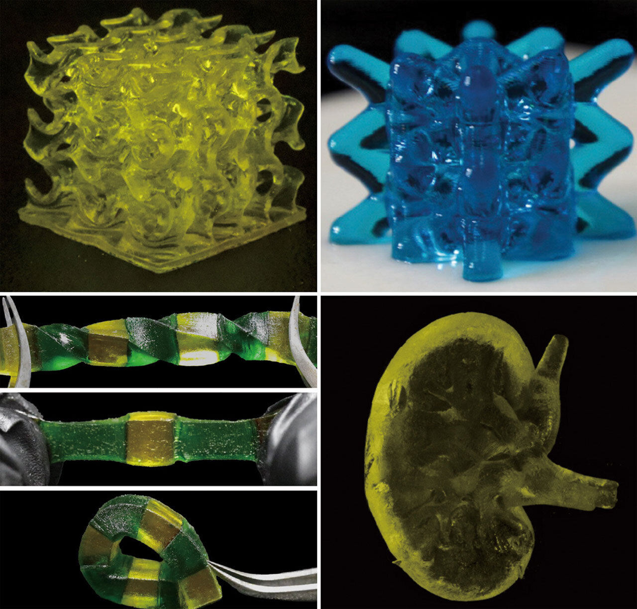 Биосовместимые полимеры для 3D-печати