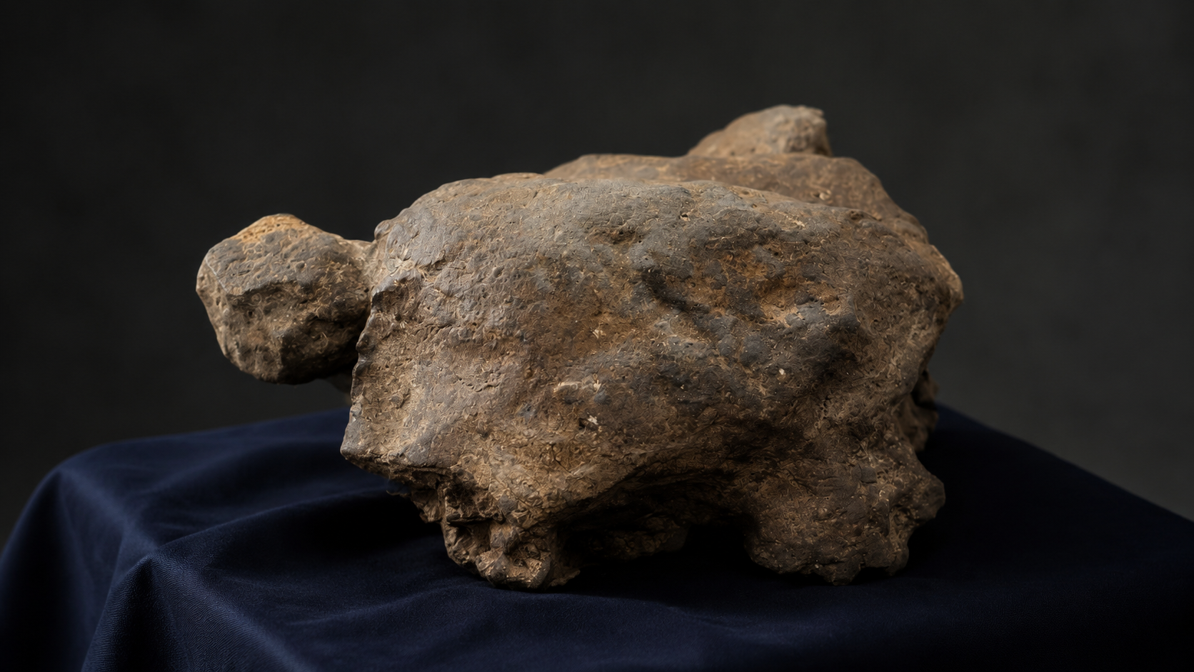 В турецкой пещере нашли 25 каменных черепах возрастом свыше 11 000 лет