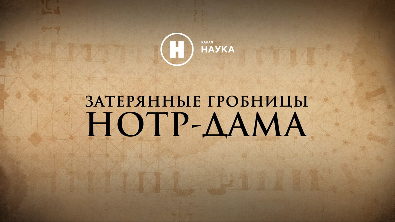 Тысячи фрагментов утраченной истории: на «Науке» покажут раскопки в Нотр-Дам-де-Пари