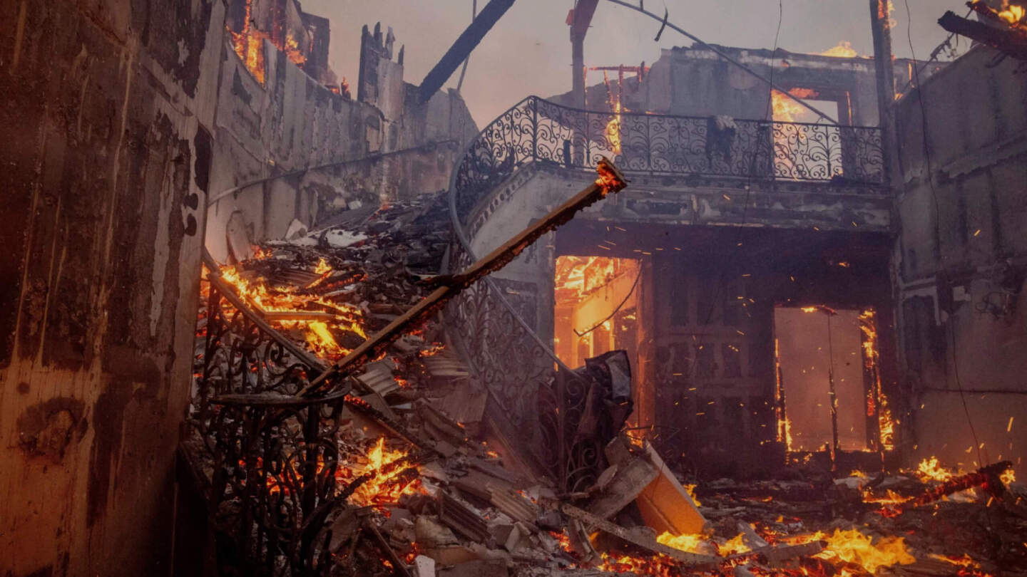 Фото: Лучшие научные снимки 2025 года