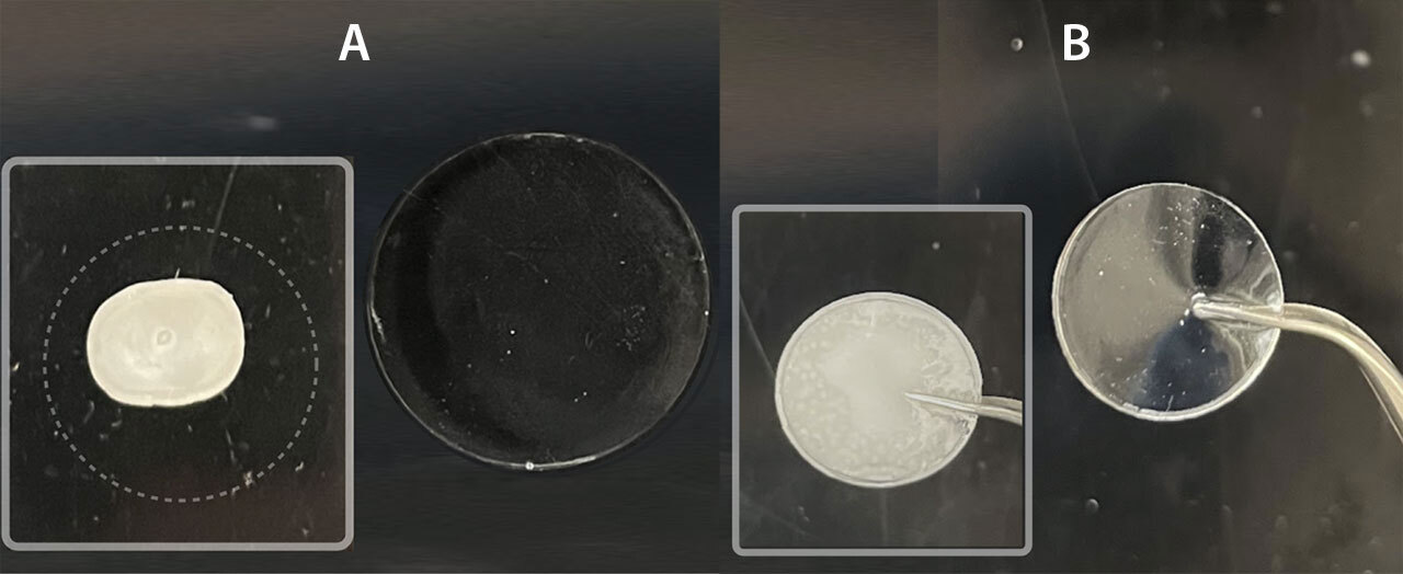 Гидрогелевая батарея