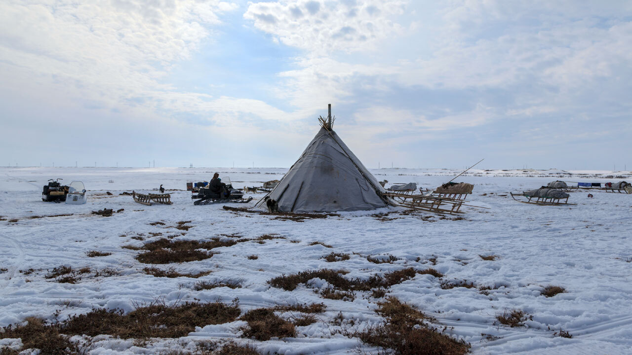 Древняя стоянка на Аляске рассказала о миграции между континентами 14 000 лет назад