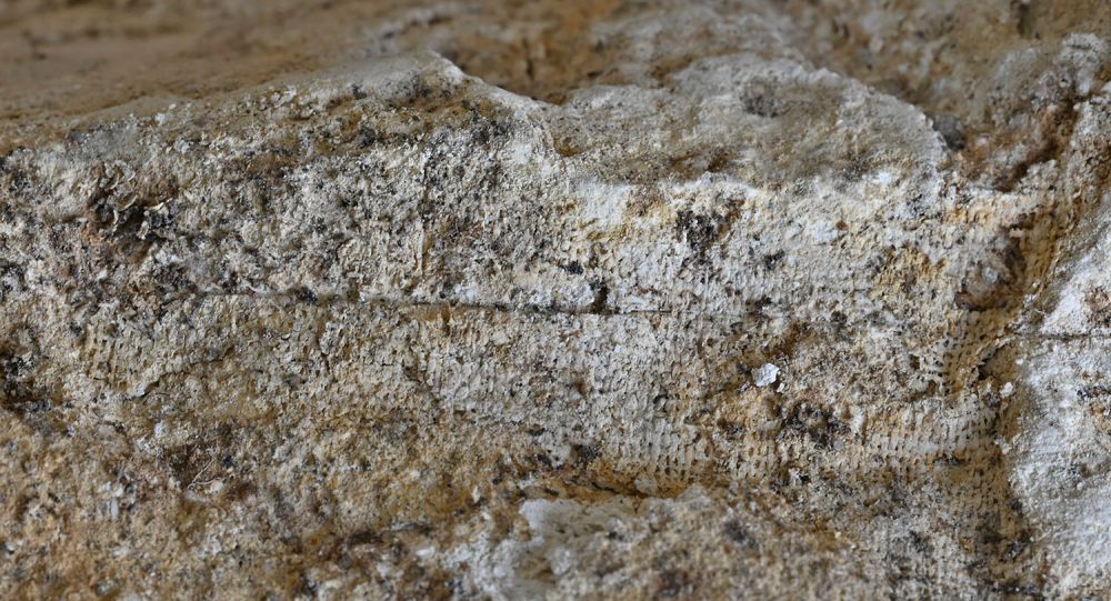 Йорк, находка археологов