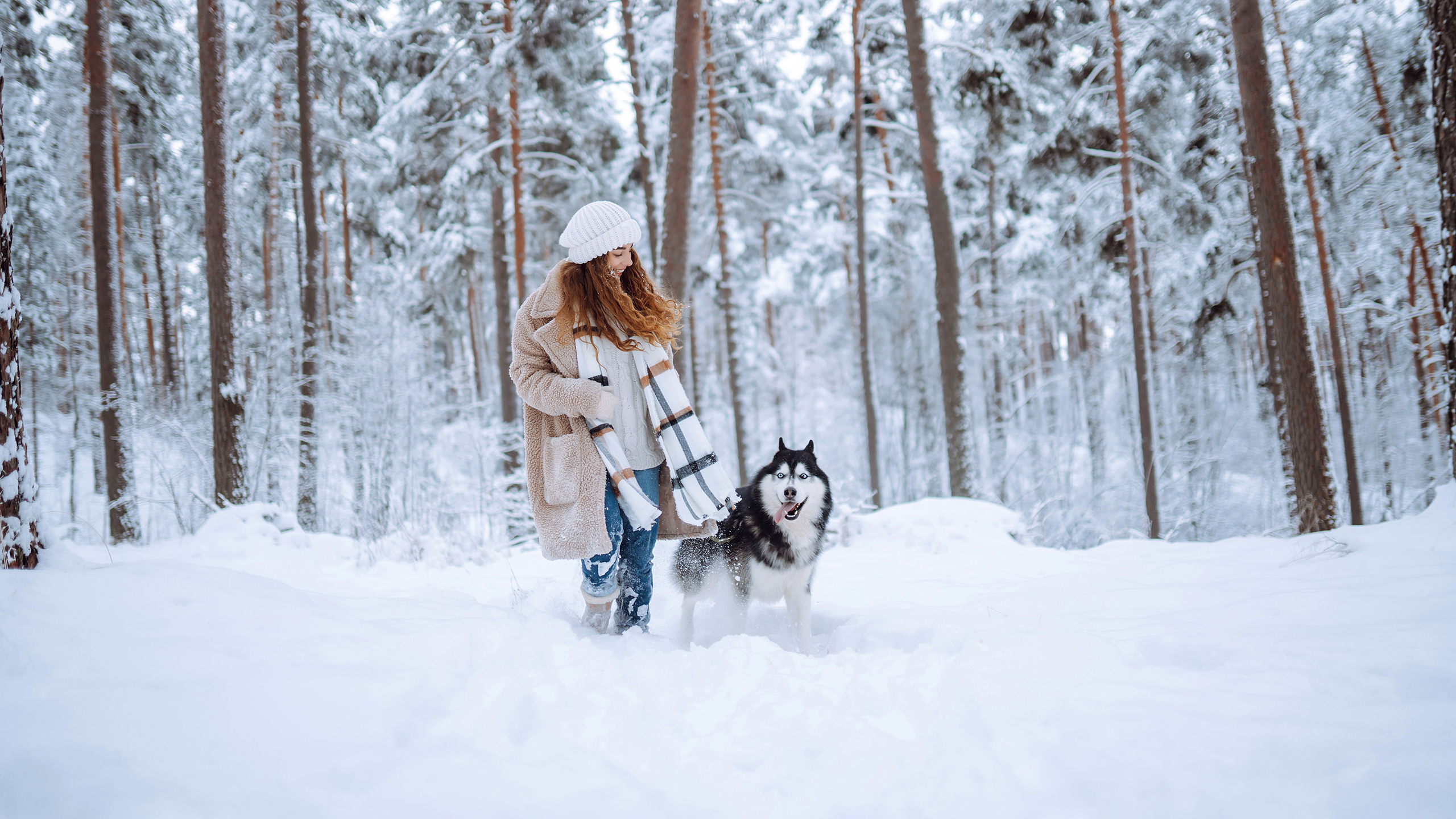 Профилактика, сердце, артимия