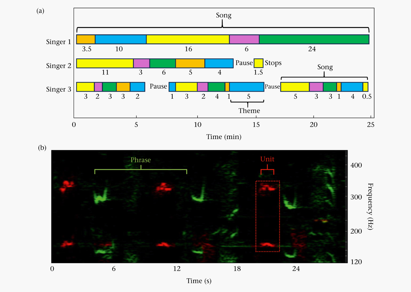 Горбатые киты