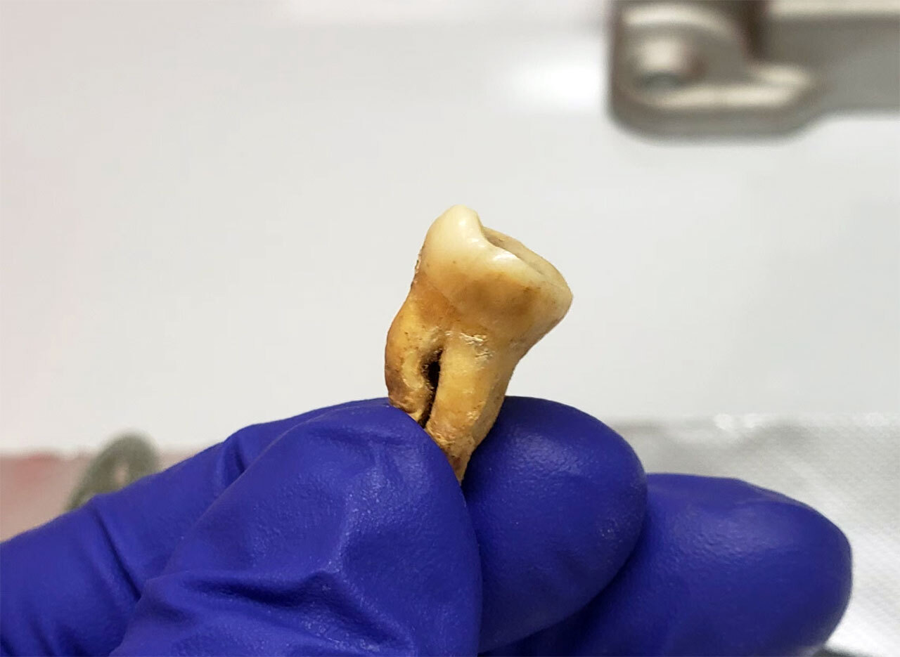 Обстоятельства первой в мире пандемии