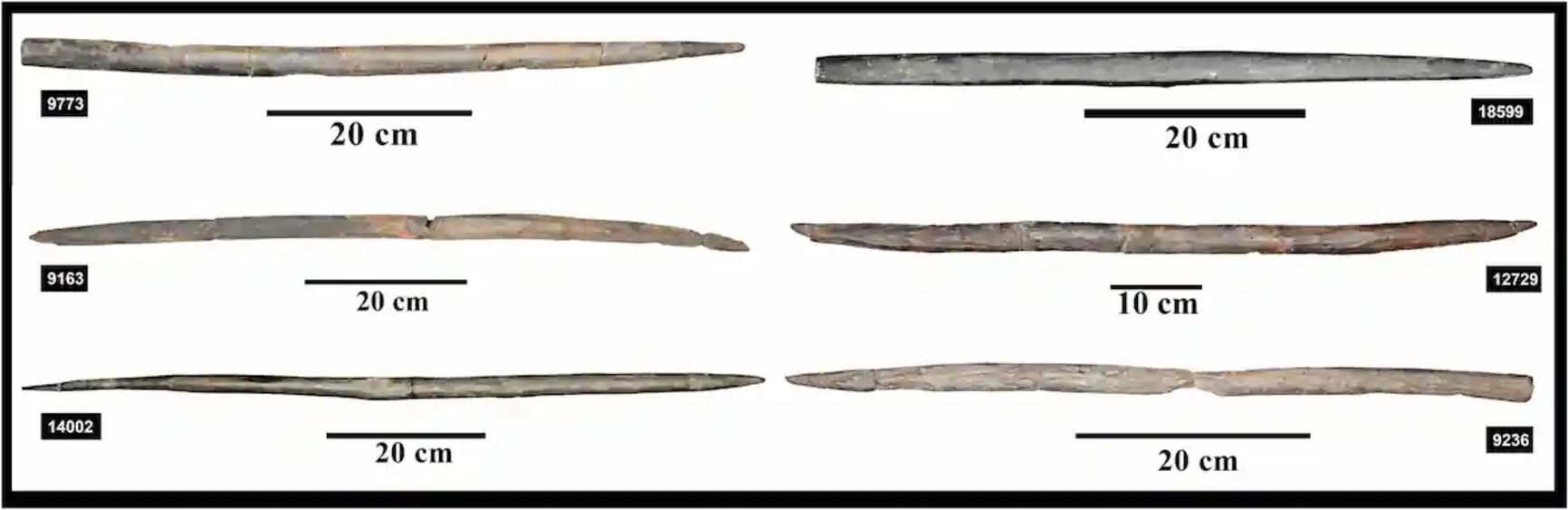7500-летние луки в затопленной деревне