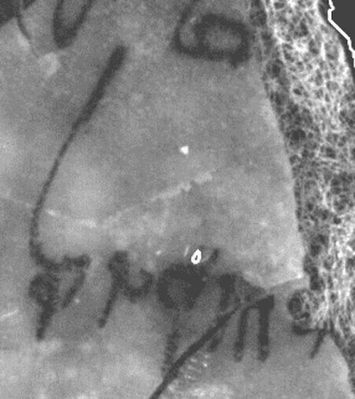 свиток Мертвого моря