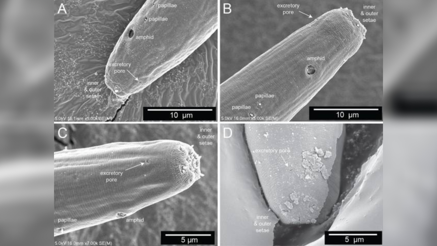 Большое Соленое озеро