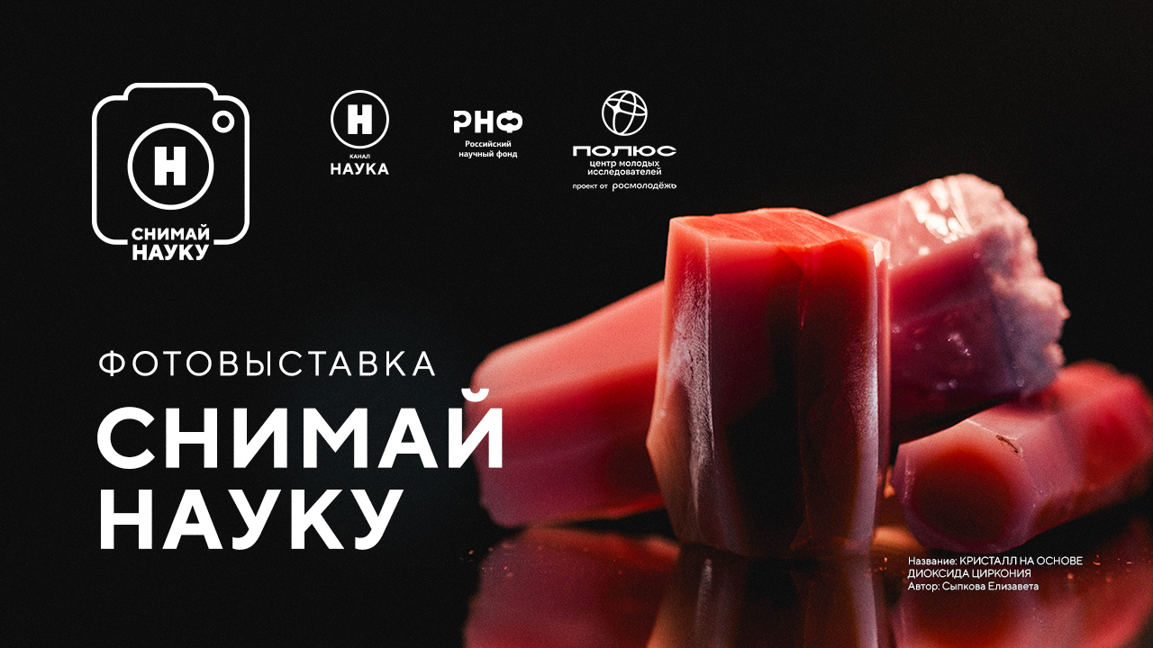 Телеканал «Наука» представит на форуме «Полюс» фотовыставку и фильм об исследованиях Арктики