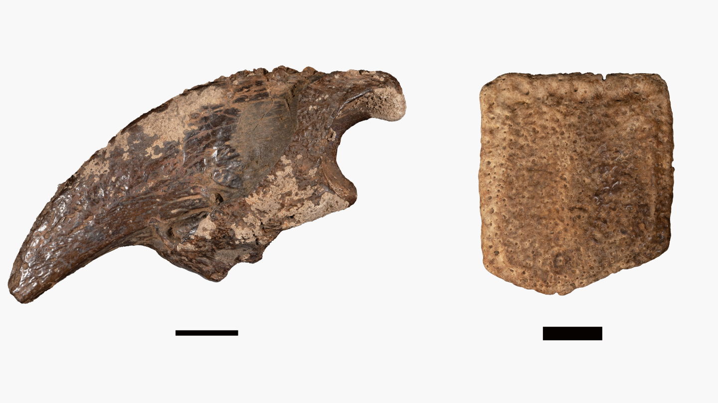 археология