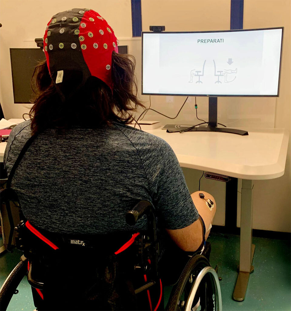 Сканирование мозга может заменить нейрочип