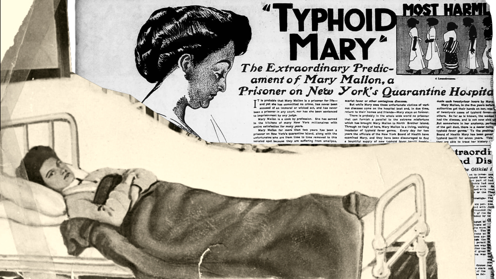  Фото: Wikipedia.org «Тифозная Мэри» в больнице в Нью-Йорке и статья из газеты о ней 1909 г. 