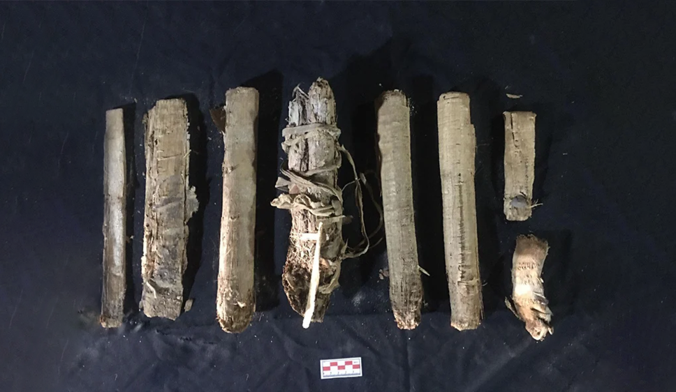 Египетские папирусы