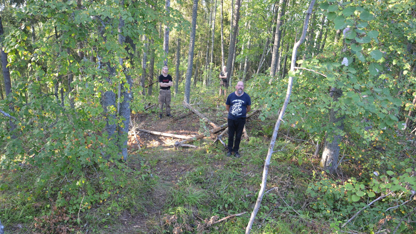 Крепостные стены