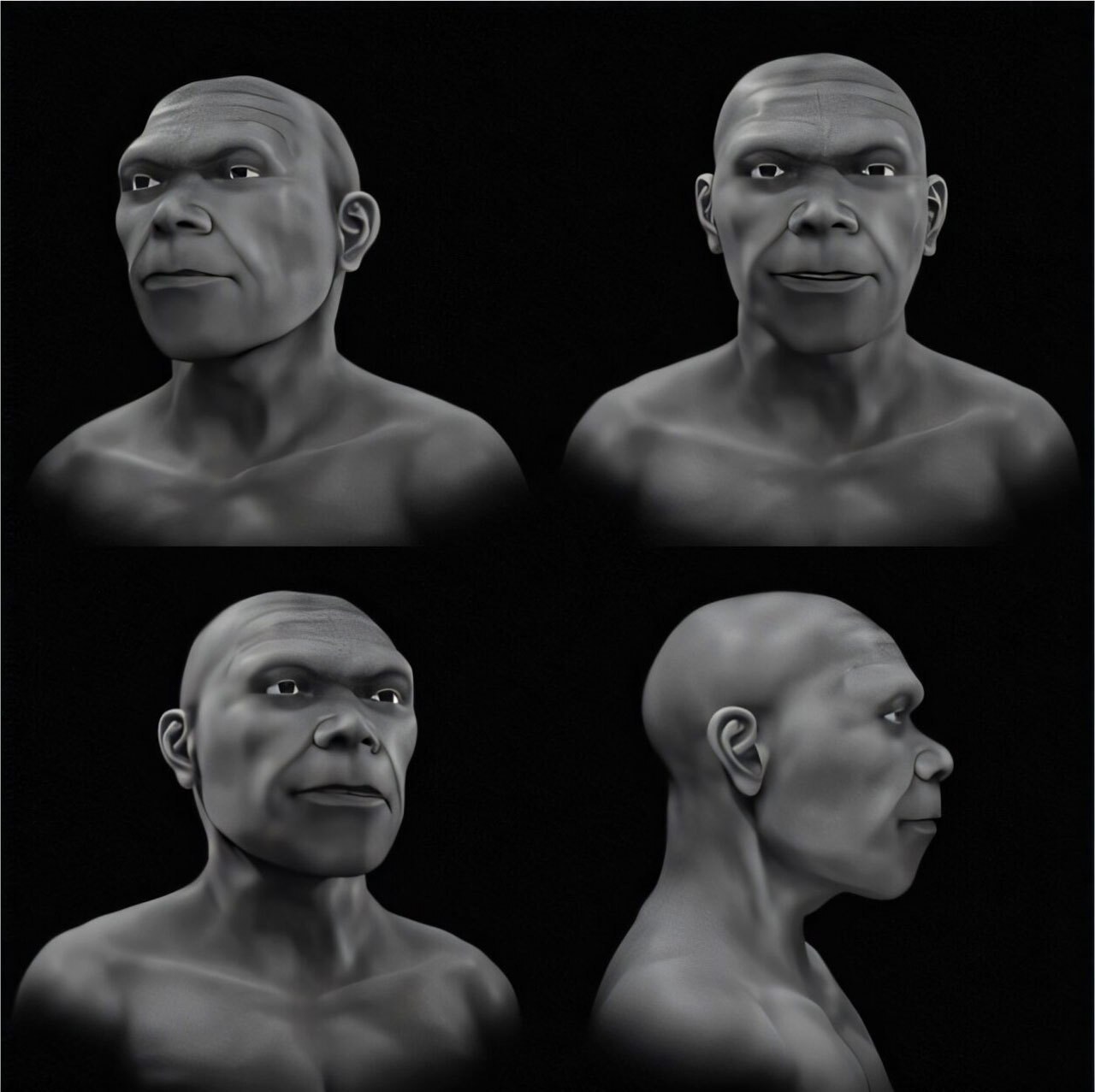 По найденным в Марокко окаменелостям воссоздано лицо древнейшего Homo sapiens