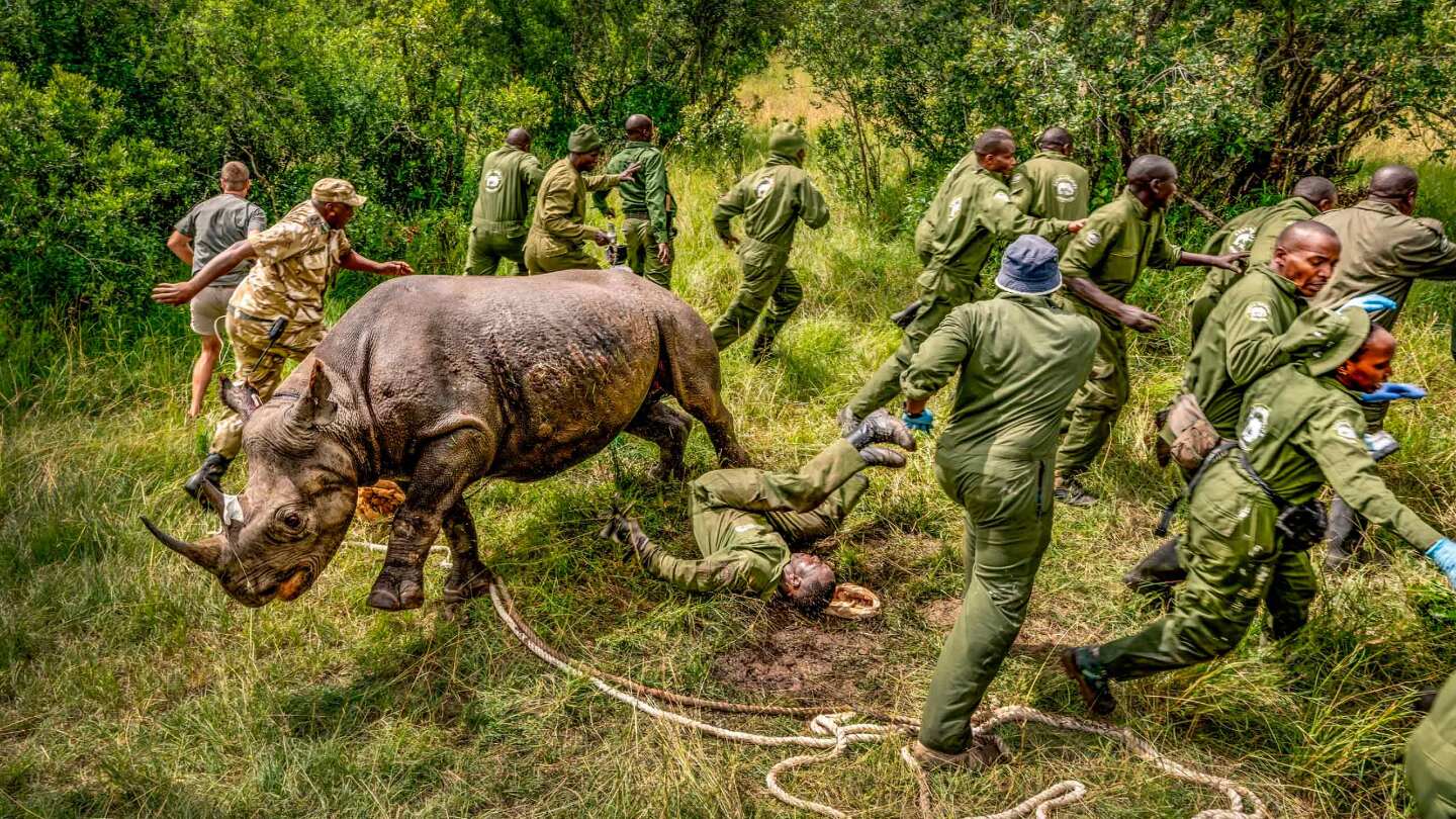Фото: Лучшие научные снимки 2025 года