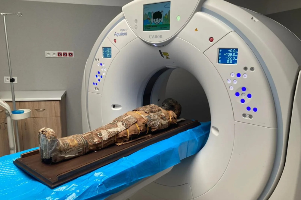 исследование