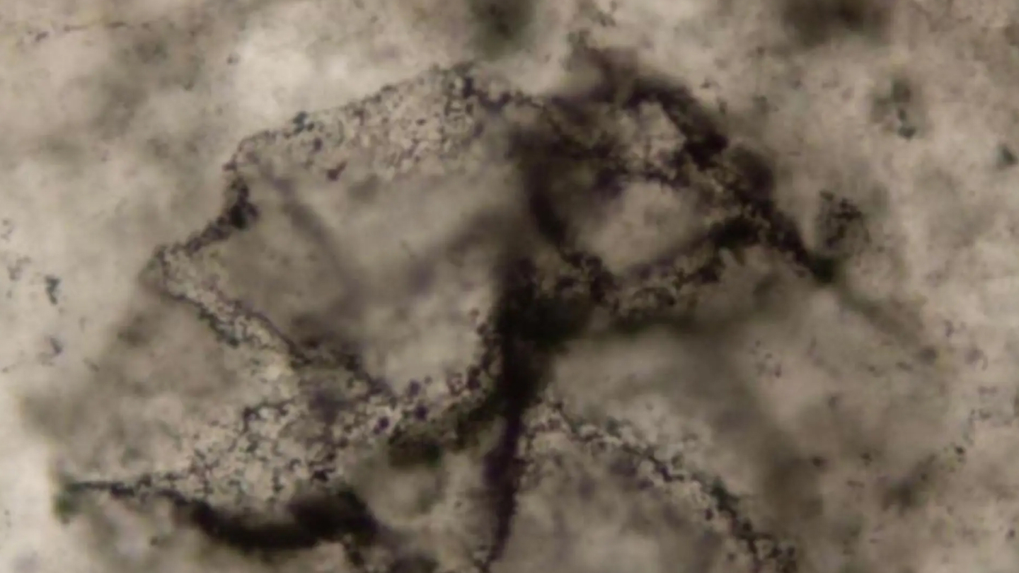 Планета Земля