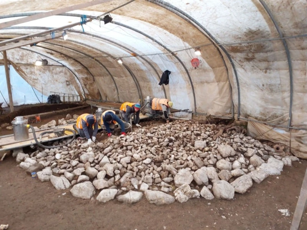 2600-летний курган найденный в Альпах