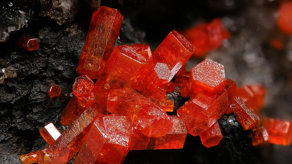 Насыщенно красные, хорошо образованные гексагональные призматические кристаллы ванадинита с месторождения Geronimo mine, Аризона, США. Ширина кадра 9 мм.