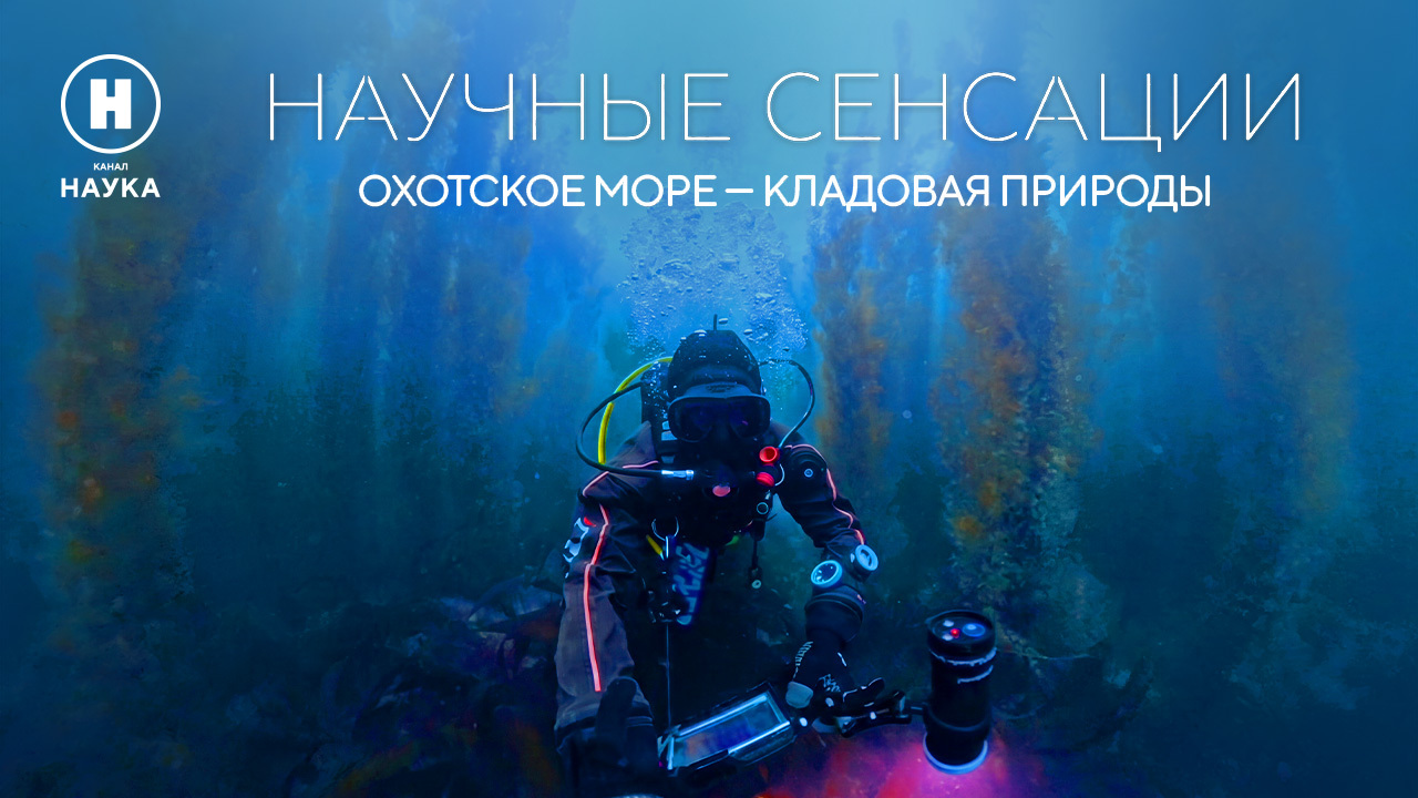 Что грозит природной кладовой — Охотскому морю: премьера на «Науке»