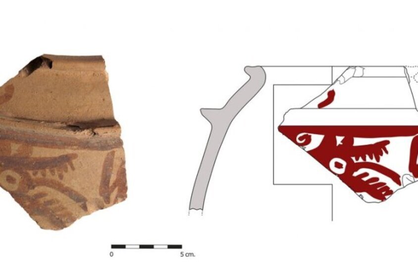 Изображение волка