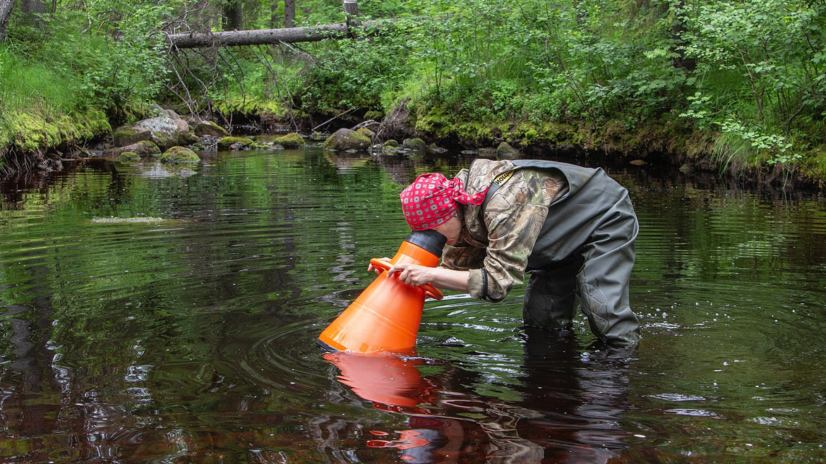 Учёные ФИЦКИА УрО РАН проводят гидробиологические исследования на реке Пележма.
