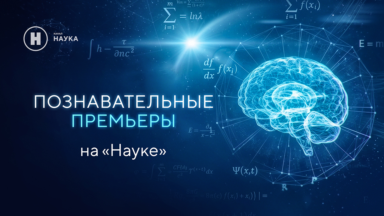 Разгадать мозг Эйнштейна и обнаружить самый яркий гамма-всплеск: познавательные премьеры на «Науке»