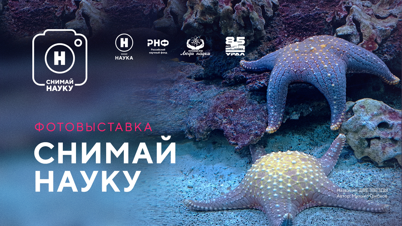 Выставка «Снимай науку!» откроет научный медиафорум в Челябинской области