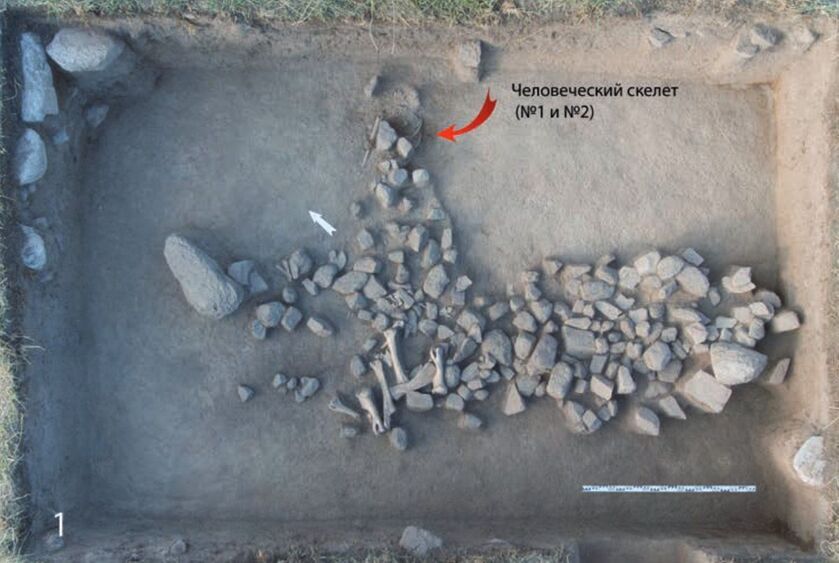 древнее захоронение 