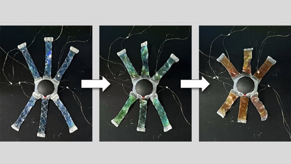 Создан робот-осьминог, способный менять цвет