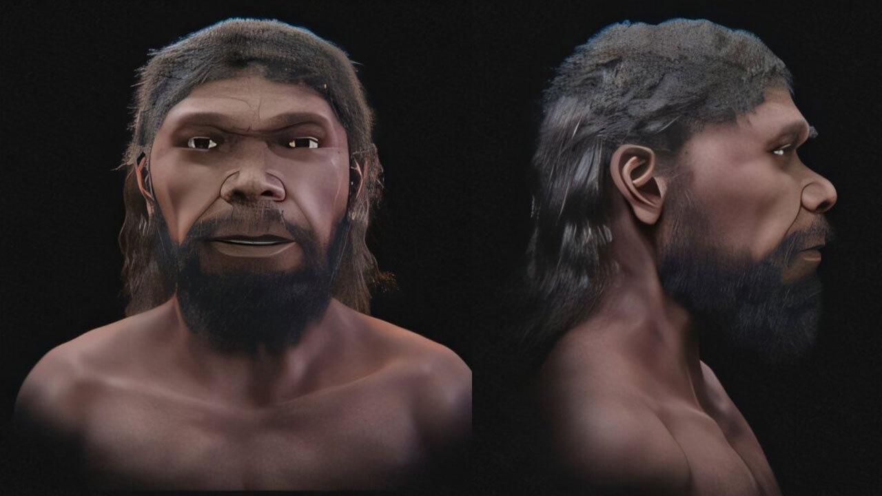 По найденным в Марокко окаменелостям воссоздано лицо древнейшего Homo sapiens