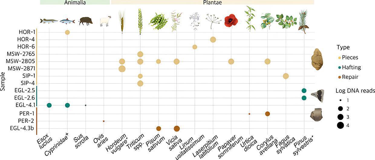 древнее меню