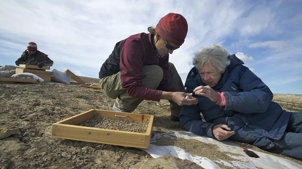 среда обитания