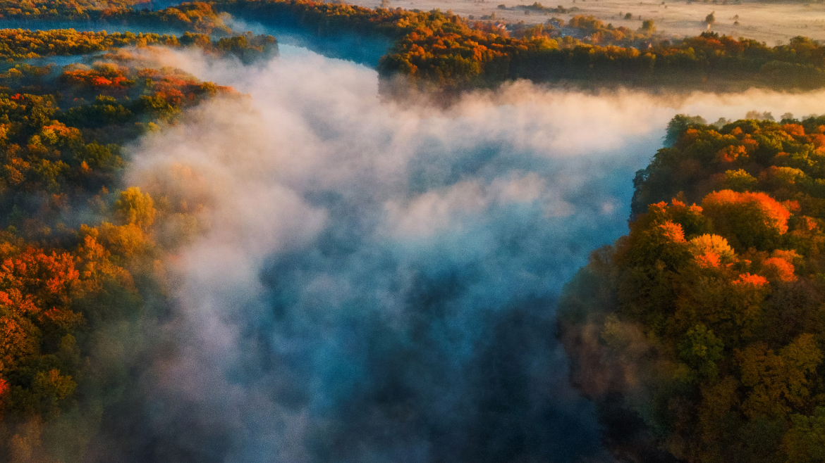 Воподап из Тумана
Вид сверху на туманный Школьный пруд