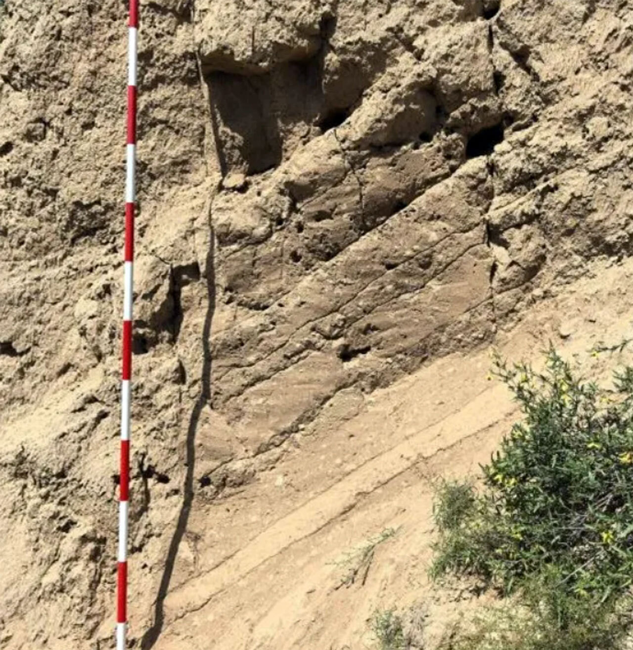 прародительница современных автомагистралей