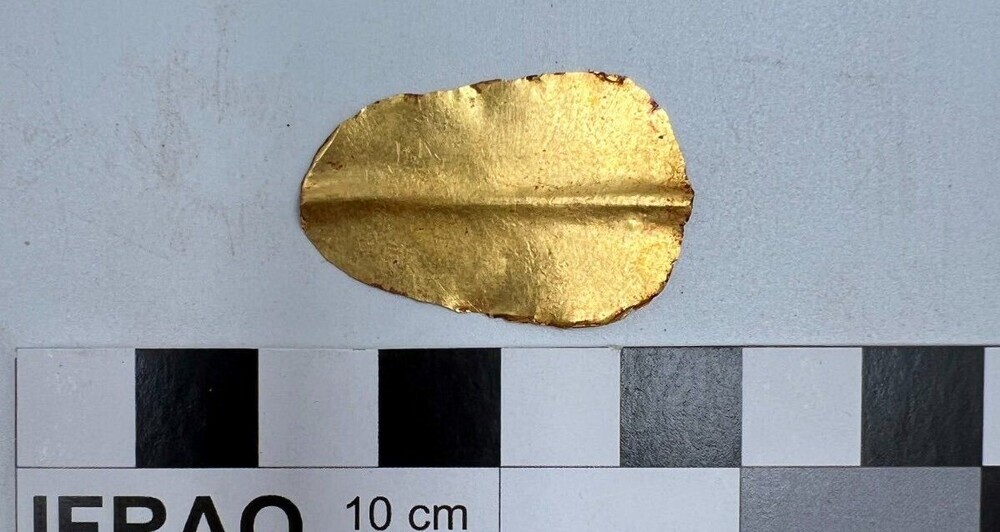 Золотой язык