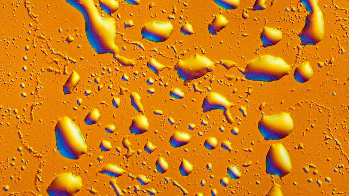 Отпечаток пальца на поверхности стекла под микроскопом.Дифференциально-интерференционный контраст, отраженный свет. Видны жировые капли, которые и образуют след от пальца.
