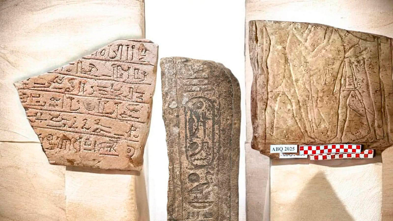 В Египте нашли захоронение боевого коня и три стелы возрастом 3000 лет